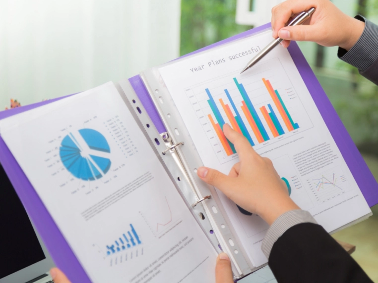 SEO Services Consultants